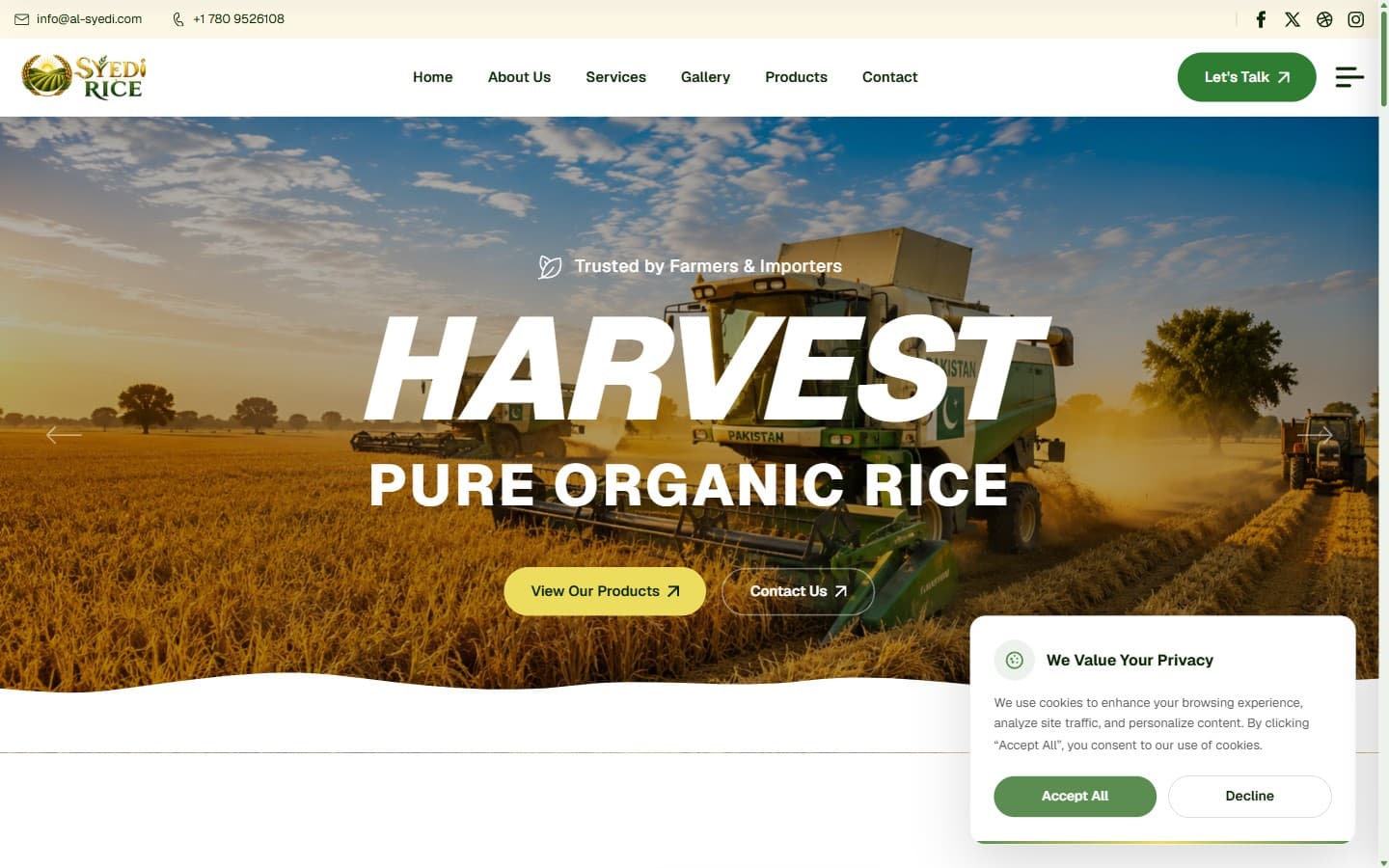 Syedi Rice — B2B Export Platform built by DevKey Technologies